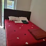 Apartment In Basel Eurovision!